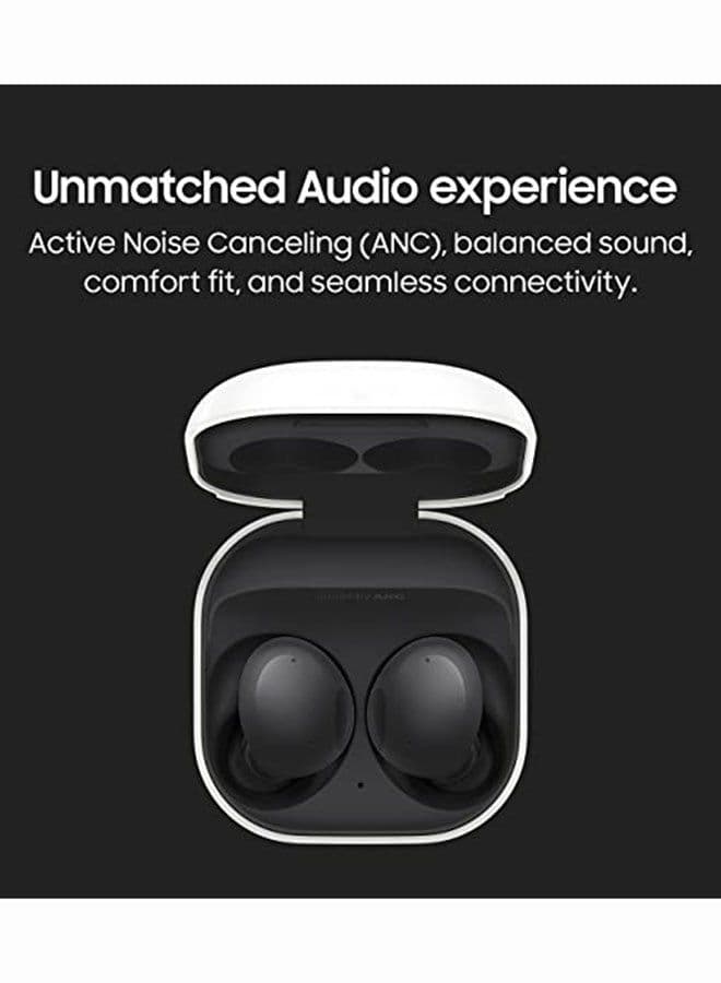 Galaxy Buds 2 Graphite image - FreshCart